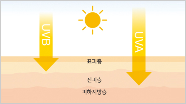 태양광건